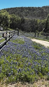 Willow City Loop place picture