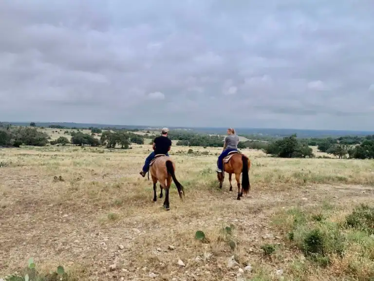 Bit & Bridle Fredericksburg