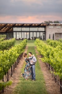 Narrow Path Winery and Vineyard place picture