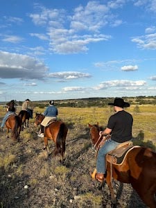 Bit & Bridle Boarding & Training Stables place picture