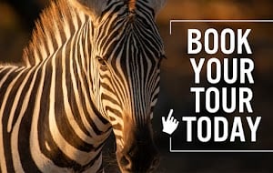 Grapetown Vineyard place picture