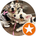 steffy ortiz profile picture