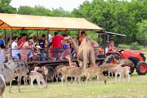 The Exotic Resort Zoo place picture