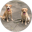 Erma Cornelius profile picture