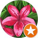 Paula Soto profile picture