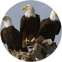 Regan Rodriguez profile picture