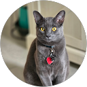 Michael Bailey profile picture