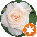 Bethany Figueroa profile picture