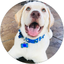 Wende Wakeman profile picture