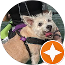 Taressa Stone profile picture