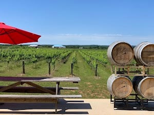 Hilmy Cellars - Vineyards, Winery & Tasting Room place picture