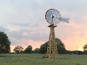 Windmill Meadow Flower Farm place picture