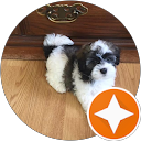 Karelynn Sheer profile picture