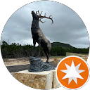 Dibbin profile picture