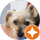 Cindy Wilson profile picture