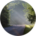 Lynn Strader profile picture