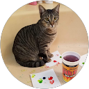 Shelby Tidwell profile picture