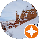 Murray Fox profile picture