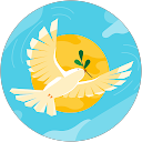 Teena Abraham profile picture