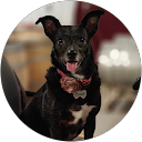 Richard Johnson profile picture