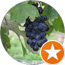 wineofthemoment profile picture