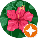 Kelly profile picture