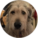 Linda Woodsmall profile picture