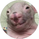 Aaron Tubbs profile picture