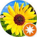 CoffeeM Videos profile picture
