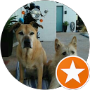 RFMonk profile picture