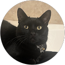 E&G Sandoval profile picture