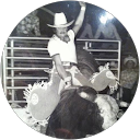 Bow Carpenter profile picture