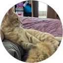 VgW profile picture